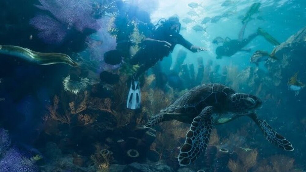 Aquatic Animals You Can Expect in GTA 6