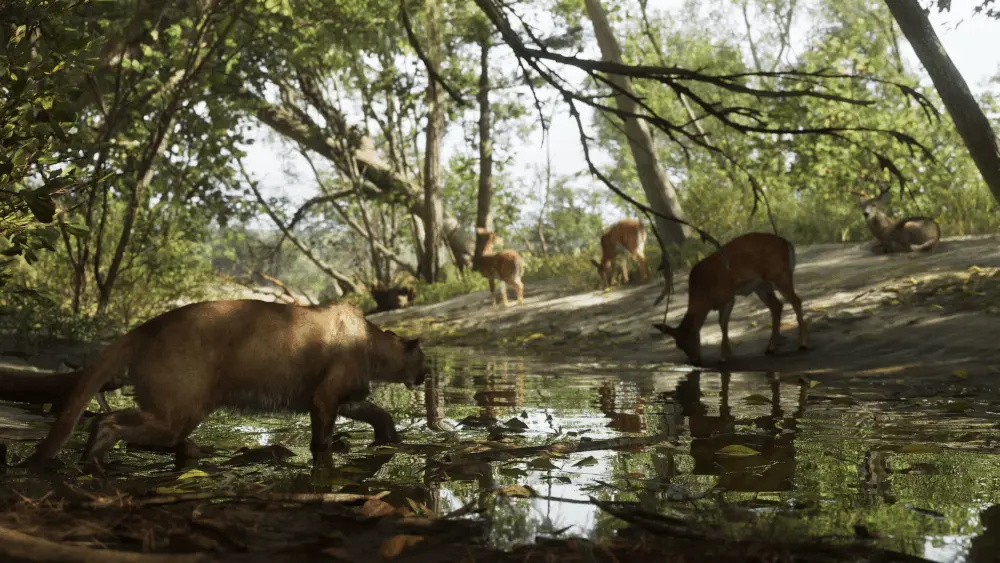 Land Animals Across Forests and Swamps